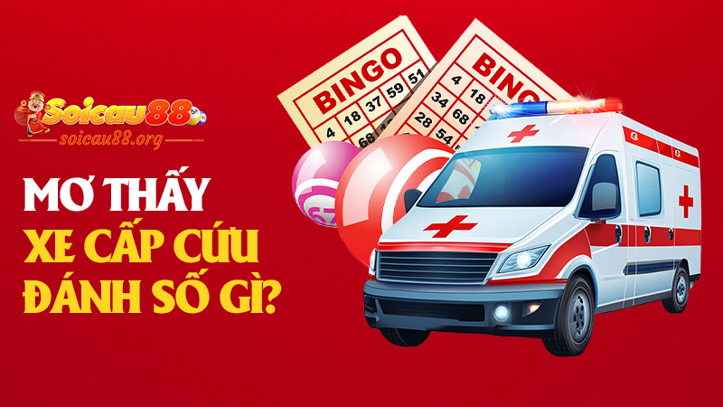 Mơ thấy xe cấp cứu đánh số gì để không bị lỡ mất “cuốc số tiền tỷ” từ vũ trụ?